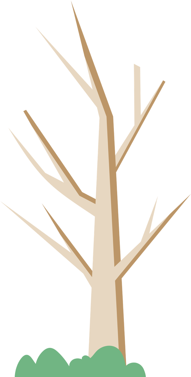 Albero