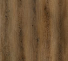 GENiUS Wood EIR