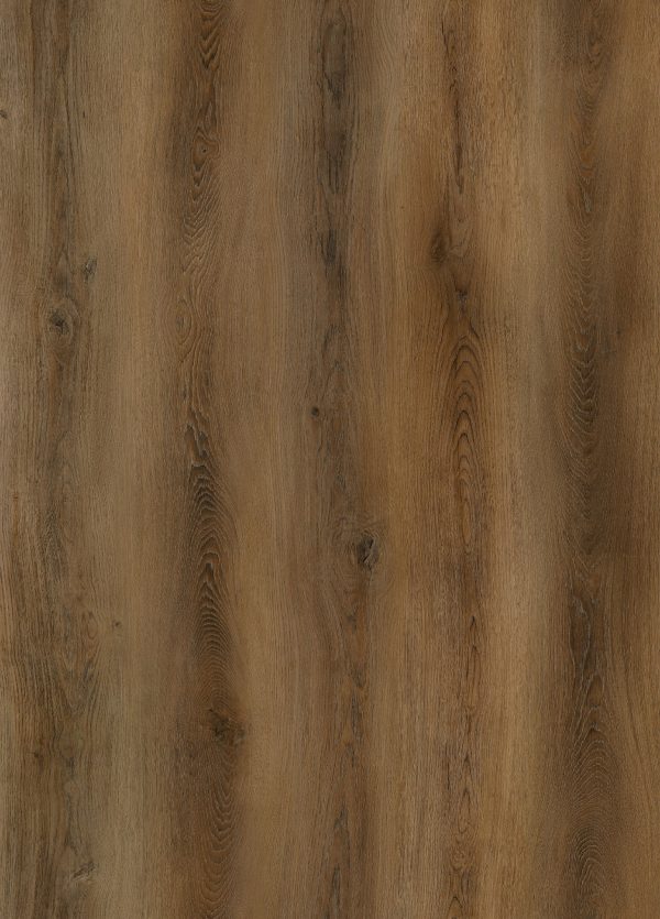 GENiUS Wood EIR