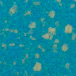 Cod. 2225
