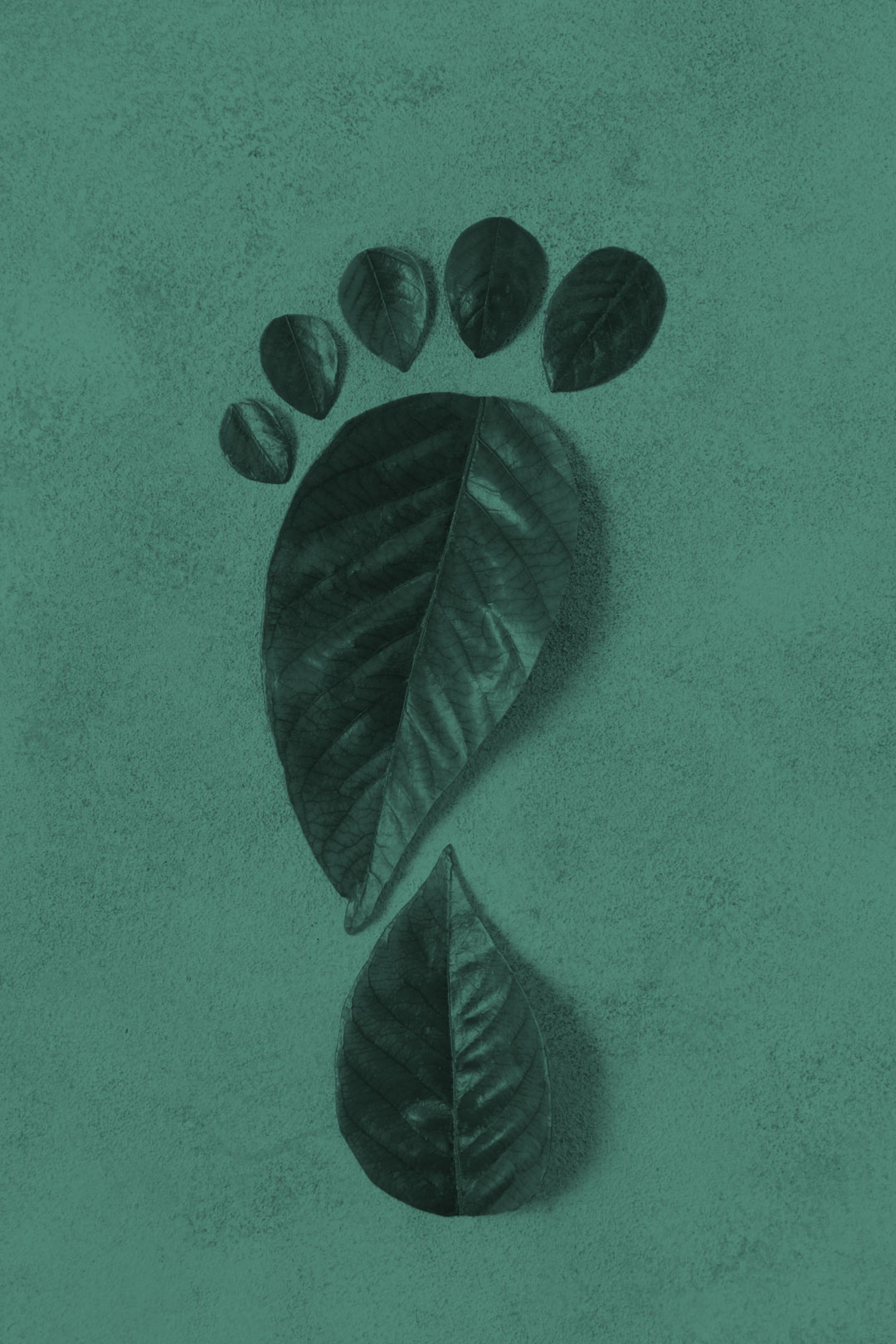 Scopri il nostro impegno green